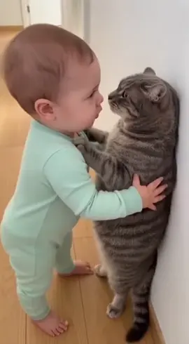 El jefe bebe #gato #viral #gatostiktok #viralentiktok #fyp 