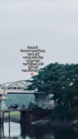 নিজেকেই উদযাপন করতে শিখো.. কারণ,  তুমি কতবার ভেঙে গিয়ে আবার নতুন করে দাঁড়িয়েছ,  সেটা তুমি ছাড়া  আর কেউ জানে না !!❤️‍🩹✨#foryou #viral #sadvibes #Love #views 