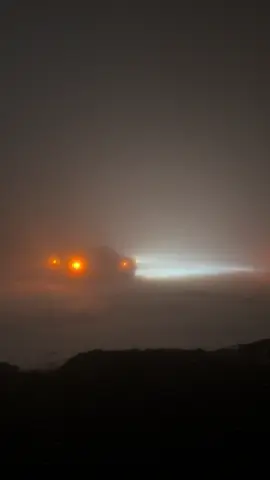 #chrea #algeria #tik 