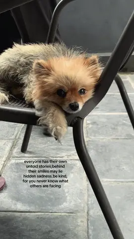 #fypシ゚ #foryou #fyp #goviral #viral 