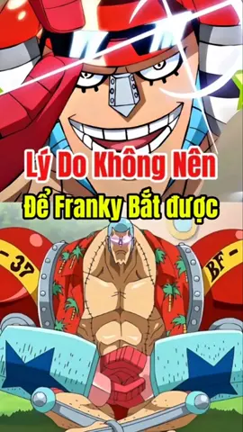 Lý Do Không Nên Để Franky Bắt được #anime #onepiece #luffy 