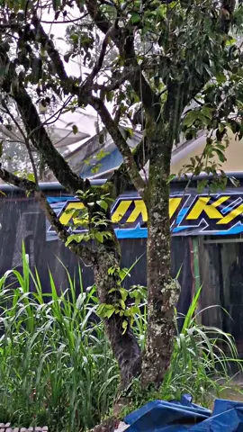 redy pu audio malang...  hulk siap tampil... @putrausahaaudio  #djmprojectkaroseri  #fyp #minimalisstyle #trukvariasi #variasitruk 