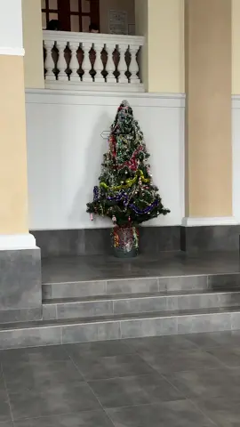 Ялинка нашого універу👍😂#лнуфранка #лнуекономічний #львів #львівтікток #ялинка 