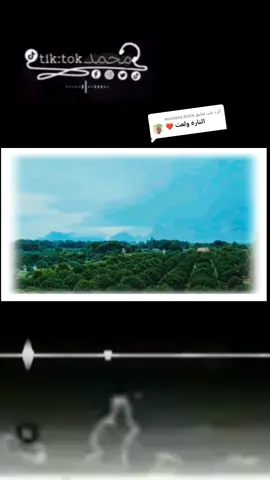 الرد على @mustafa.8206 #عبدالله_الشريف🌼💛 #كسلا_بورتسودان_قضارف #جاهله 