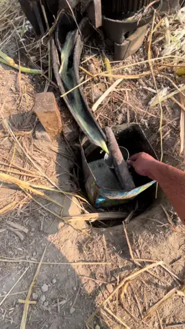 #creatorsearchinsights #yourpage #viralvideo #fyp 