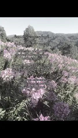 ကွယ်ရာမှာဆိုမျက်ရည်အရမ်းကျလွယ်တတ်တဲ့သူပါ                                                 #fypviralシ #tiktok #moots? #1millionaudition @TikTok @TikTok Tends @tiktok creators 