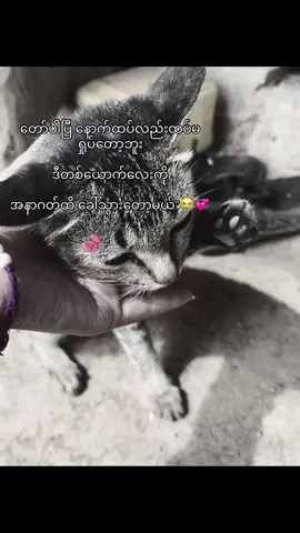 #အနာဂတ်ထိခေါ်သွားမယ်ဒီတစ်ယောက်လေးကိုတော့😭#fypシ゚ #likephoto #moot#007 @A’🩻 