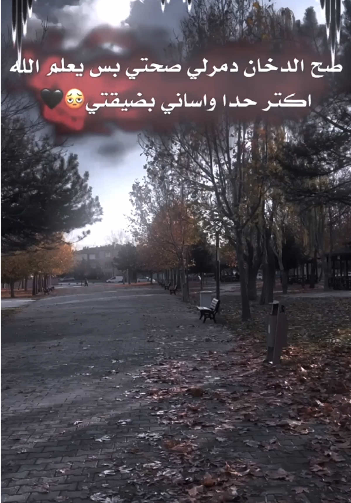 ‏🫩🖤..!#تفاعلكم😍💔 #سلكوووو🌚🖤 #فيديو_ستار🚸🔥 #تصميم_فيديوهات🎶🎤🎬 #مجرد________ذووووووق🎶🎵💞  @﮼حمودي 🕸️🕷️  @﮼حمودي 🕸️🕷️ 