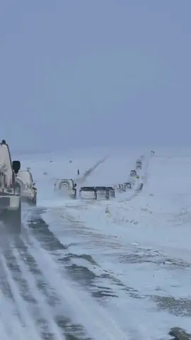 Who is Rocky 💀#viral #china #Rabeecapathologist #viral 