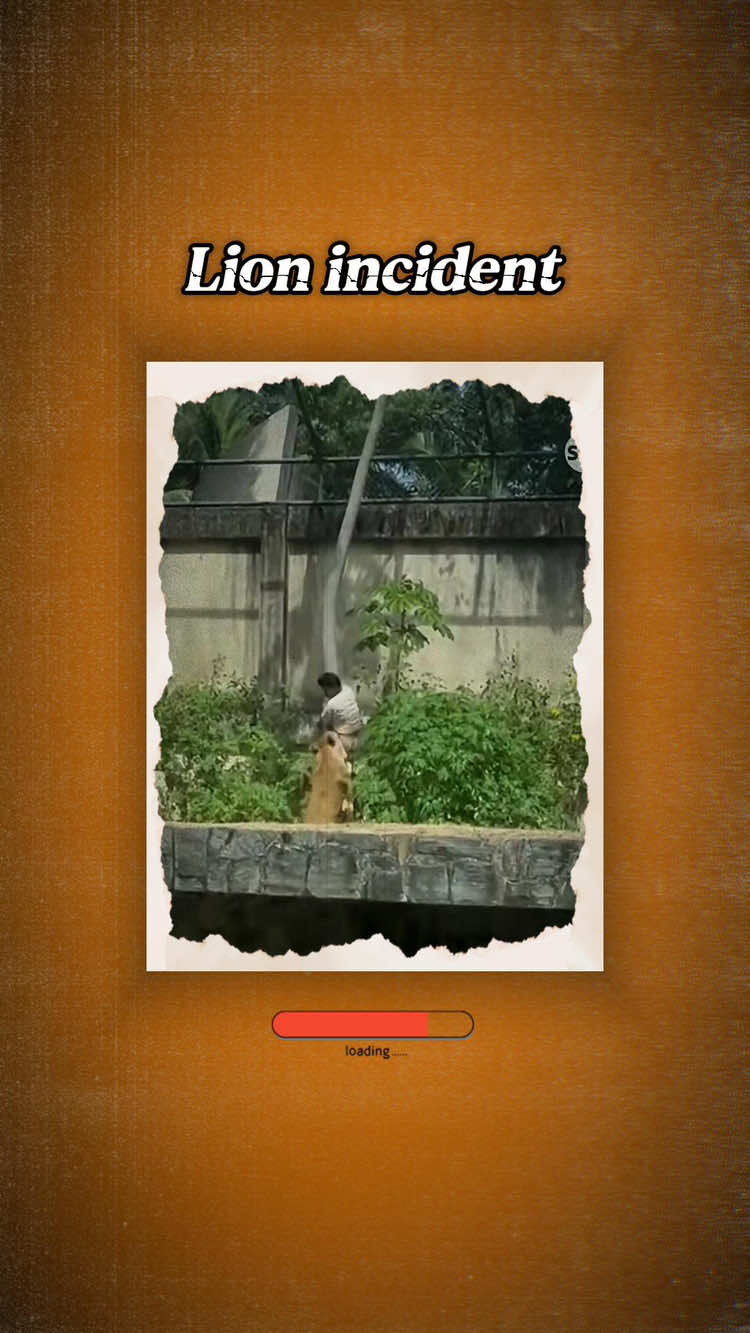 Lion attack incident #analoghorror #scary #creepy #brazil#horrortok 