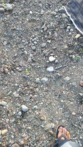 melodi yng indah tapi tidak dengan kisahnya🥀#a7x #sizetheday #avengedsevenfold 