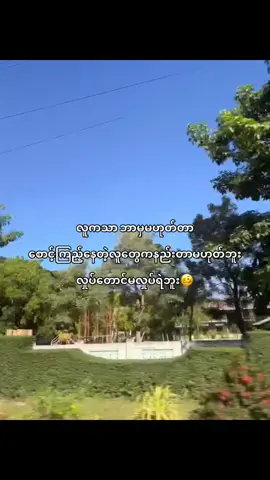 ခုတောင် ခြေမနဲ့တင် လိုက်တာ လက်က မအားဘူး လက်အုပ်ချီထားရတယ်🥰#fypシ゚ #viral #foryoupage #tiktokmyanmar #ရောက်ချင်တဲ့နေရာရောက်👌 