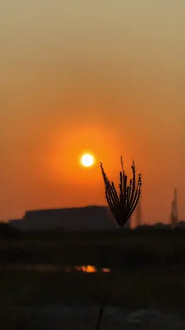 Sunset လေးလှနေလို့ 🧡💭#2026 #သီချင်းလေးကြိုက်လို့ပါ 