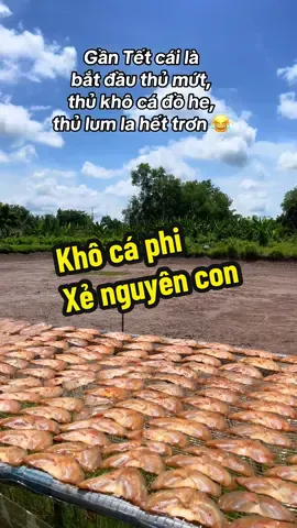 Thấy khô là thấy Tết 😂#khô #ilovetiktok #tết 
