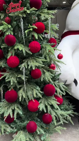 🌲🌲 Bạn vô tình đi chụp ảnh noel gặp quán vắng ko chen chúc vào ngày trong tuần , còn có chocobomb nữa🫰🫰🫰🫰🫰 #cielcoffee #cielcoffeedvn #coffeetiktok 