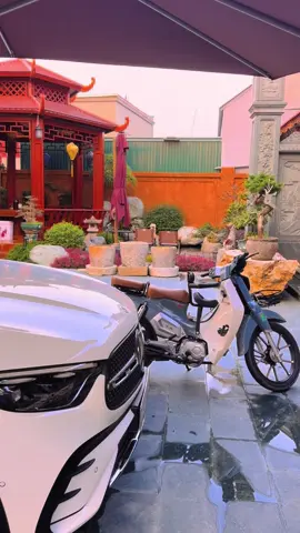 Nơi có bình yên ...#😻⛩️❤️❤️❤️ #Nam khánh ...#😻⛩️❤️❤️❤️ #xu_huong_tiktok #