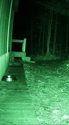 #skinwalker #cctvcamera #scary #horrortok #horror What happened to the dog? I hope he's okay. 