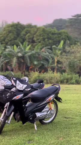 Thai Vanz #vanzconceptproject🇹🇭 #thailand🇹🇭 #vanz #wave100 #wave 