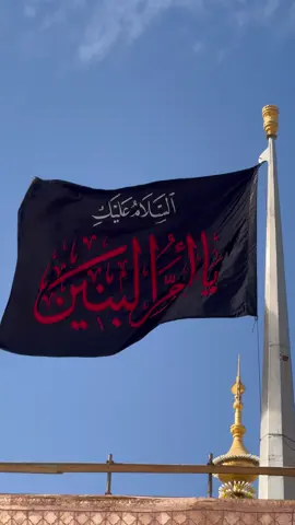 سَلامٌ على أمِّ البنينَ وحزنِها وأبنائها يومَ التوجُّعِ والفَقدِ #ام_البنين #العتبة_العلوية_المقدسة  #ياعلي 