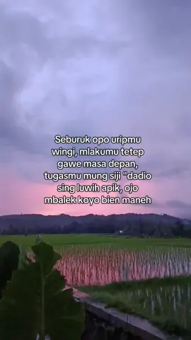 #fyp #motivation #bismillahfyp #sholawat #masukberanda 