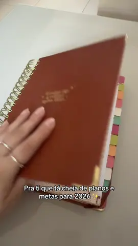 Eu tô apaixonada por cada detalhe desse planner juro 