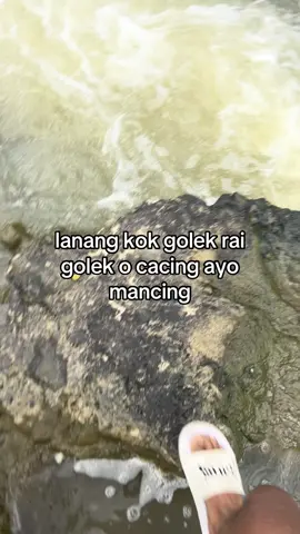 gek ayo budalll #microfishing #mancing #fyp 