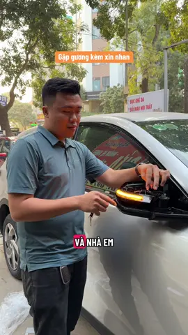 Gập gương kèm xi nhan cho Limo #quangfanvit #limogreen #phukienoto #vinfast 