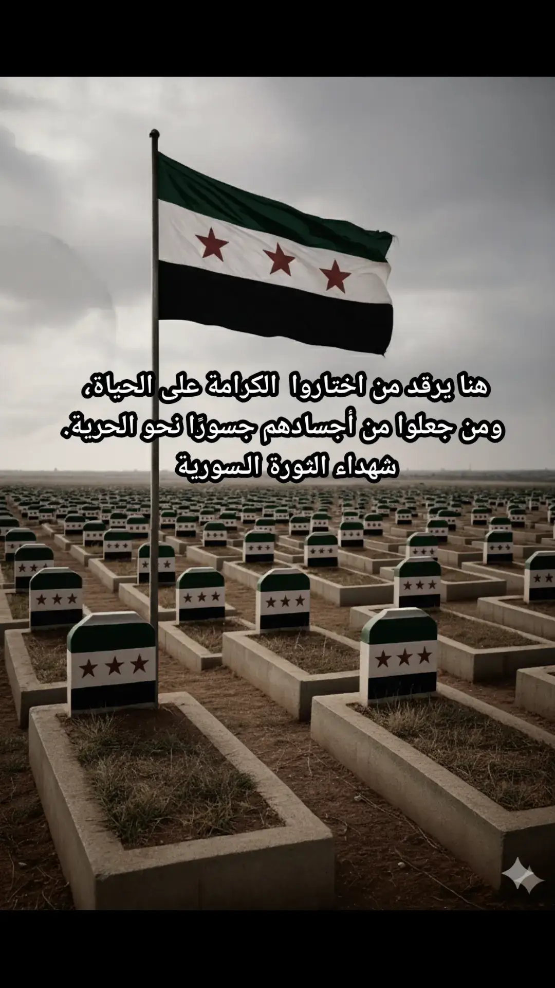 هنا يرقد من اختاروا الكرامة على الحياة، ومن جعلوا من أجسادهم جسورًا نحو الحرية. #دمشق #سوريا #ادلب #دير_الزور #حمص 