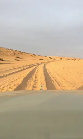 #الشاعر_منيف_الرشيدي #النفود_الكبير 