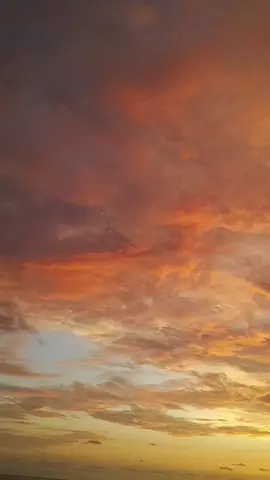 tapi langit selalu menerima senja apa adanya