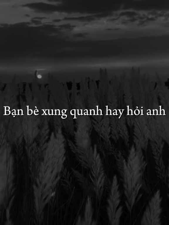 bạn bè xung quanh hay hỏi anh...#nhacsuy #buon #tinhyeu #xh #xuhuong 