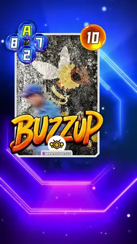 Rất nhiều thẻ bài được đưa vào chiến đấu #BTG #anome #nft #gamefi 