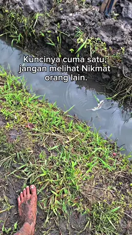 😇#petanimuda #tegaldlimobanyuwangi #fpy #x #banyuwangi 