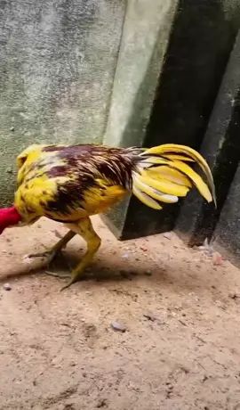 @user48082685716 @user23064270928 