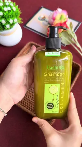 dầu gội bơ bưởi dành cho tóc gãy rụng khô xơ và hư tổn nhiều. hỗ trợ kích thích mọc tóc mang lại 1 mái tóc chắc khỏe và suôn mượt#thamthanthien #daugoi #daugoithaoduoc #daugoibobuoi #hachi  @Thắm Thân Thiện  @Thắm Thân Thiện  @Thắm Thân Thiện 