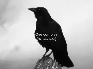 santana medley- type o negative #typeonegative #santanamedley #elbruso #music #viral 