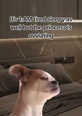 #gf #bf #fyp #viral #relateble 