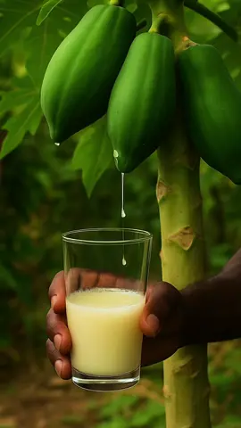 Remed natirel tradisyonel granmoun yo #creatorsearchinsights #remednaturelAyisyen #fyp #haitiantiktok #plantenaturelle 