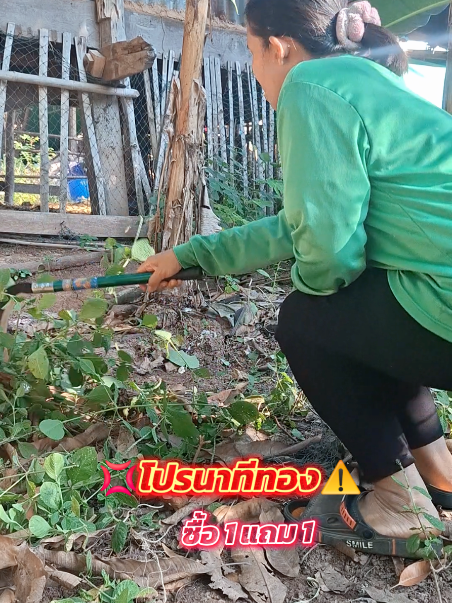 ตอบกลับ @reww.miee #มีดถางหญ้า #เคียวเหล็กแมงกานีส #ขอชัก #เคียวเกี่ยว #คาวีรีวิว 