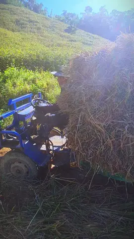 #ເປິດການມອງເຫັນຂວ້ຍແດ່ 