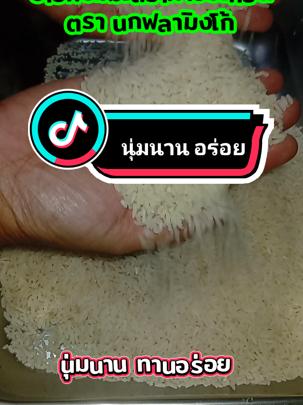 #หนูภาที่ชอบกินก๋วยเตี๋ยว #tiktokshopช้อปกันวันเงินออก #ข้าวหอมมะลิ #ข้าวหอมมะลิตรานกฟลามิ้งโก้ #ข้าวหอมมะลิราคาประหยัด 
