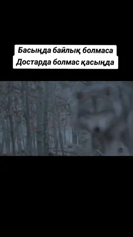 Басыңда байлық болмаса  Достарда болмас қасыңда#достар #сөздер #нақылсөздер #қазақстан🇰🇿 #абай 