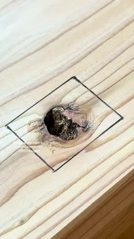 How to Patch a Knot with a Square Plug  #woodworking #DIY #asmr #tip #twcdesign 