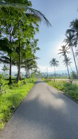 Pesona ujung timur jember  #jember24jam #sumberjambe_jember #jatimpride #pesonajember #fyp 