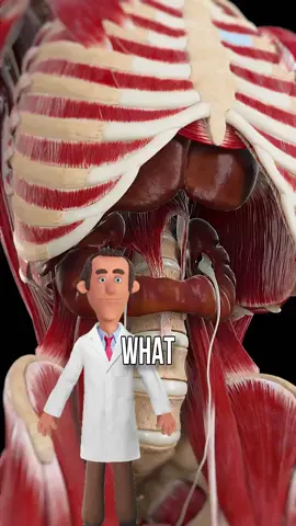 what happens if you drink a glass of salt water in the morning  #healthy #healthytips #saltwater #salt #water 