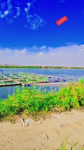 #الشعب_الصيني_ماله_حل😂😂 #تصويري_احترافي_الاجواء👌🏻🕊😴 #بدون_هشتاق #ماتجازه 