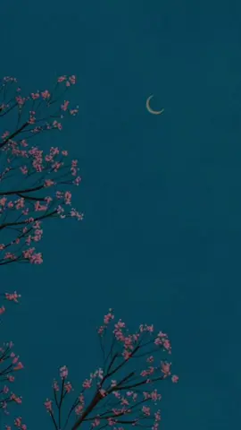 Surah Al-Baqarah | Verse 186 🕊️❤️ • • • • • • • • #quranverses #viralreels #quranurdutranslation #islamic #explorer 