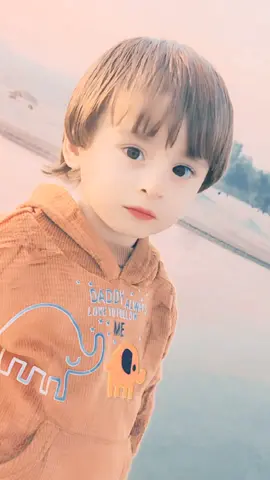 🐅💞جاررر قربان دی شم💞🐅 🇹🇷captainwaziri🇦🇫