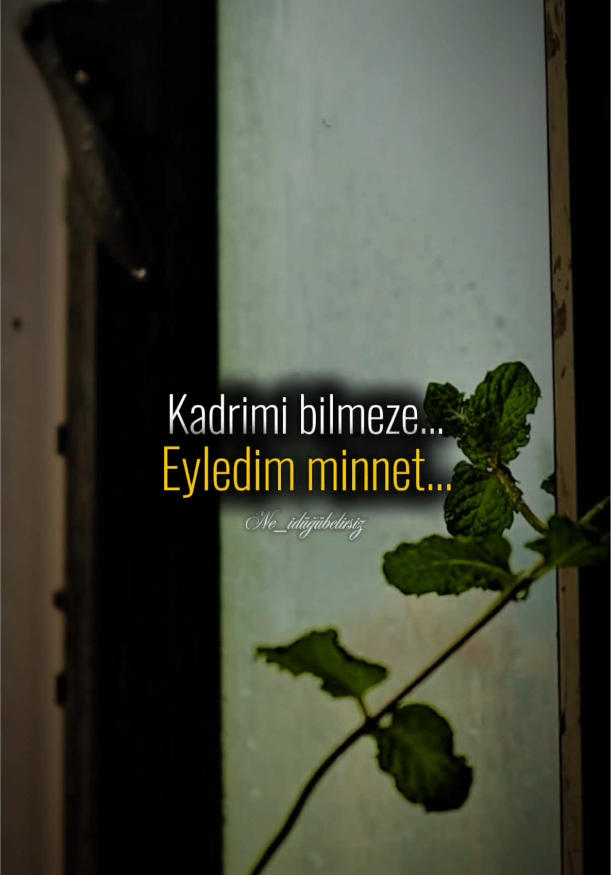 Benim kıymetimi nere yazdılar?#CapCut #neşetertaş #keşfet #keşfetteyizzz #fyppppppppppppppppppppppp 