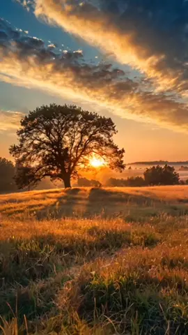 #######♥️♥️♥️♥️♥️ ######